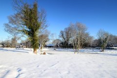 20 December 2009